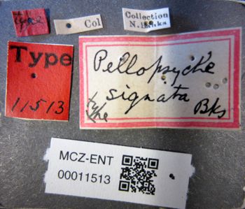 Media type: image;   Entomology 11513 Aspect: labels